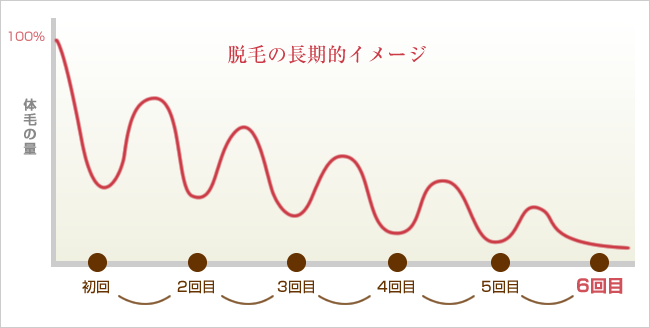 脱毛に行くペース