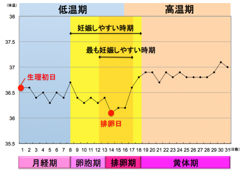 とき 妊娠 し やすい 妊娠初期の17の特徴とは？最短でいつからわかる？兆候と時期について