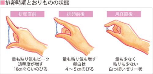 おりものが伸びる