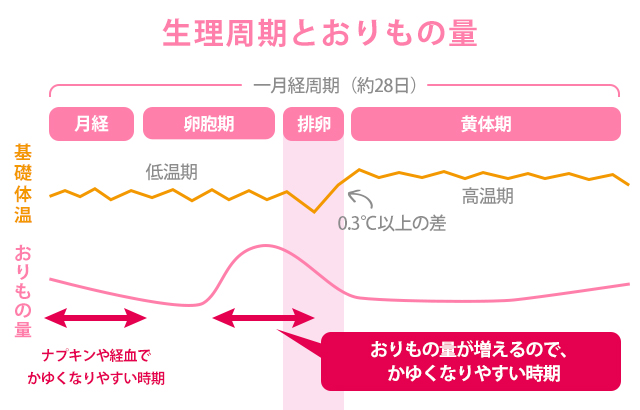 もの おり 黄体 期