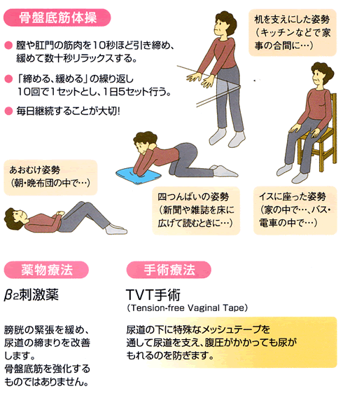 骨盤底筋を強化する体操